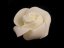 Dekorační pěnová růže Ø4,5 cm
