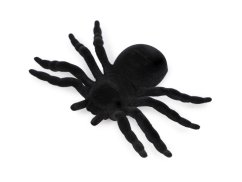 Sametový pavouk Halloween