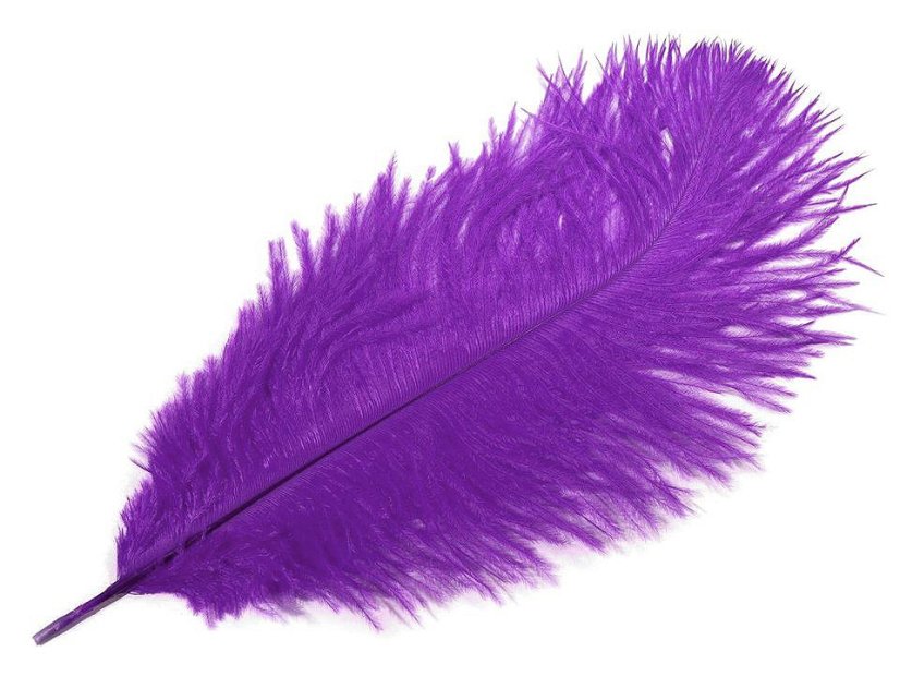 Pštrosí peří délka cca 20-25 cm