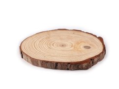 Přírodní dřevěné kolečko / podložka k domalování a dotvoření Ø16 cm
