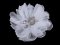 Brož květ s broušenými korálky Ø10 cm v dárkové krabičce