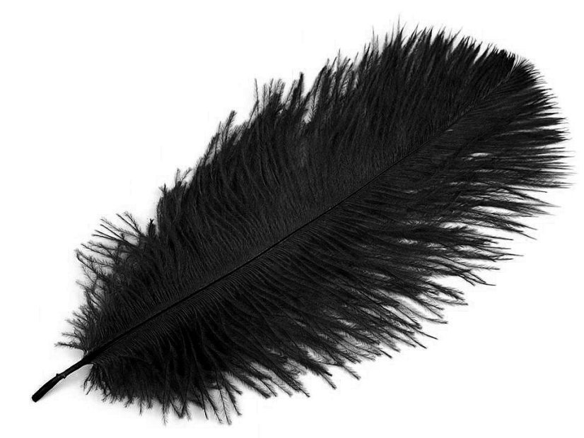 Pštrosí peří délka cca 20-25 cm