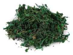 Dekorační mech 25 g