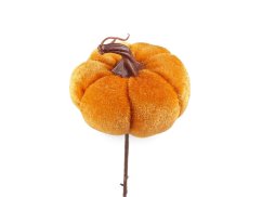 Zápich sametová dýně