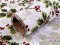 Vánoční dekorační metráž šíře 48 cm cesmína s glitry