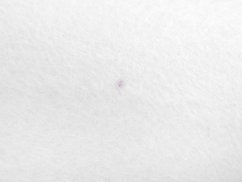 Filc / plsť metráž tloušťka 5 mm 2. jakost
