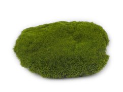 Mechový polštářek k dekorování