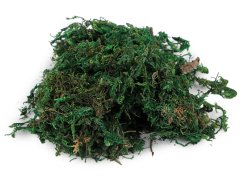 Dekorační mech 25 g